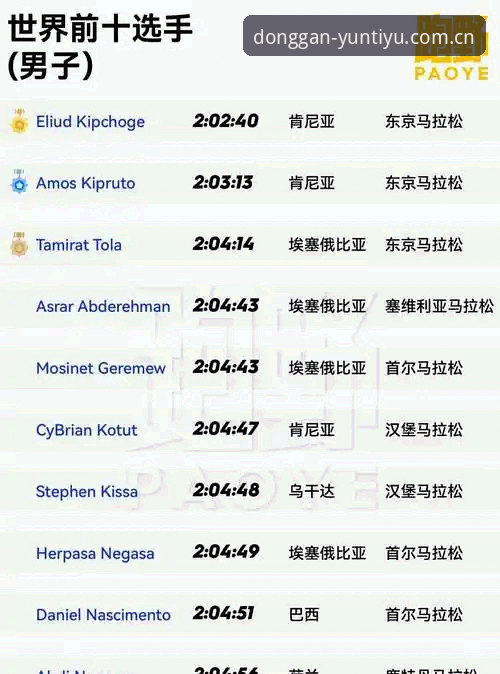 云体育安装指南：网页版vs客户端vs手机版，哪个更适合你？全面对比分析